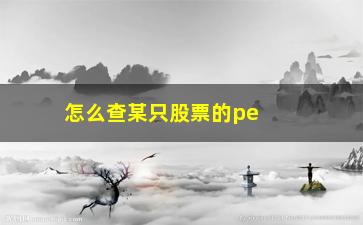 “怎么查某只股票的pe